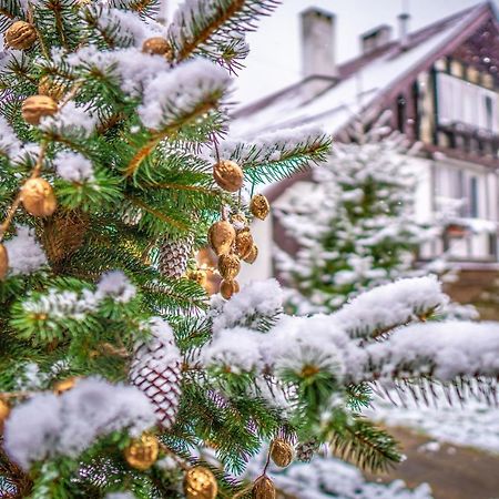 Usadba Belovezhskoye Pomestye Hotel Kamenyuki Kültér fotó