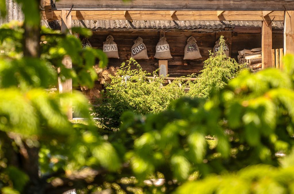 Usadba Belovezhskoye Pomestye Hotel Kamenyuki Kültér fotó